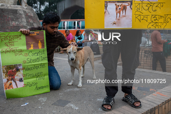 Some students of Dhaka University stage a protest against the action of killing dogs by poisoned food at Japan Garden City in Dhaka, Banglad...