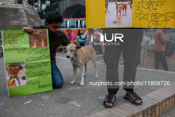 Some students of Dhaka University stage a protest against the action of killing dogs by poisoned food at Japan Garden City in Dhaka, Banglad...