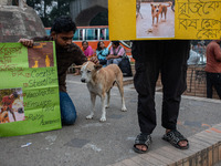 Some students of Dhaka University stage a protest against the action of killing dogs by poisoned food at Japan Garden City in Dhaka, Banglad...