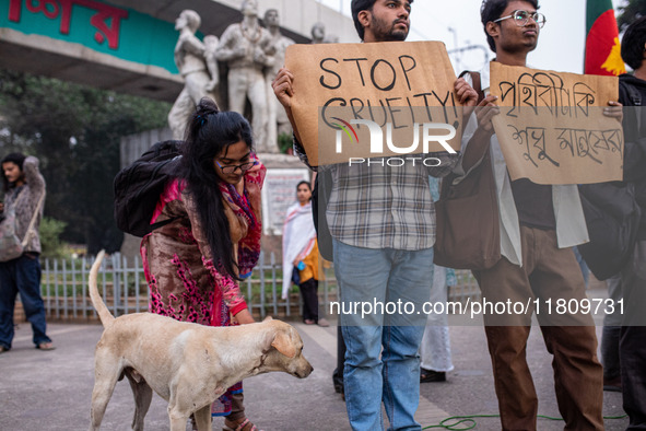 Some students of Dhaka University stage a protest against the action of killing dogs by poisoned food at Japan Garden City in Dhaka, Banglad...