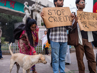 Some students of Dhaka University stage a protest against the action of killing dogs by poisoned food at Japan Garden City in Dhaka, Banglad...