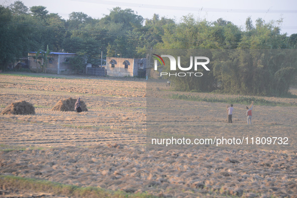 Indian village women are seen on their farmland in Bihar, India, on November 24, 2024. 