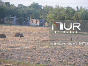 Indian village women are seen on their farmland in Bihar, India, on November 24, 2024. (