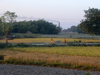 Indian village women are seen on their farmland in Bihar, India, on November 24, 2024. (