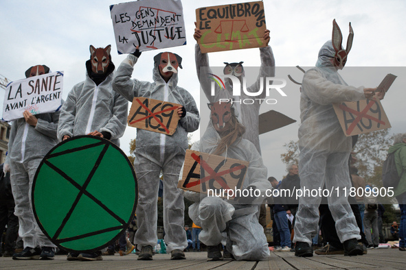 People from XR display placards against the A69 highway. People gather in Toulouse, France, on November 25, 2024, as plaintiffs (LVEL, Attac...