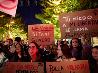 Protesters hold banners and shout slogans during the 25N demonstration, International Day for the Elimination of Violence against Women, in...