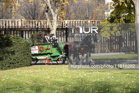 The official White House Christmas Tree arrives in Washington, DC, on November 25, 2024, and is received by First Lady Jill Biden. Here are...