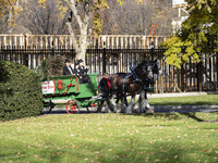 The official White House Christmas Tree arrives in Washington, DC, on November 25, 2024, and is received by First Lady Jill Biden. Here are...