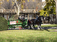 The official White House Christmas Tree arrives in Washington, DC, on November 25, 2024, and is received by First Lady Jill Biden. Here are...