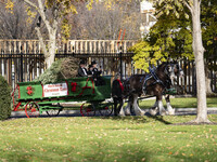 The official White House Christmas Tree arrives in Washington, DC, on November 25, 2024, and is received by First Lady Jill Biden. Here are...