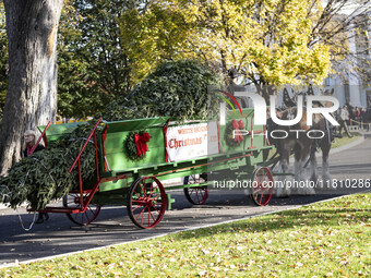 The official White House Christmas Tree arrives in Washington, DC, on November 25, 2024, and is received by First Lady Jill Biden. Here are...