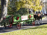 The official White House Christmas Tree arrives in Washington, DC, on November 25, 2024, and is received by First Lady Jill Biden. Here are...