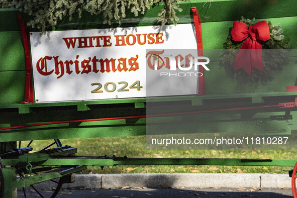 The official White House Christmas Tree arrives in Washington, DC, on November 25, 2024, and is received by First Lady Jill Biden. Here are...