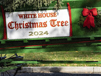 The official White House Christmas Tree arrives in Washington, DC, on November 25, 2024, and is received by First Lady Jill Biden. Here are...