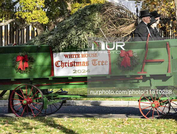 The official White House Christmas Tree arrives in Washington, DC, on November 25, 2024, and is received by First Lady Jill Biden. Here are...