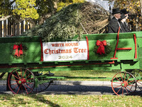 The official White House Christmas Tree arrives in Washington, DC, on November 25, 2024, and is received by First Lady Jill Biden. Here are...