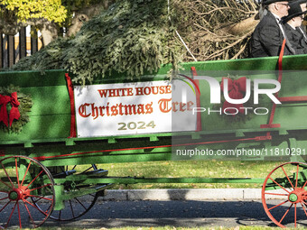 The official White House Christmas Tree arrives in Washington, DC, on November 25, 2024, and is received by First Lady Jill Biden. Here are...