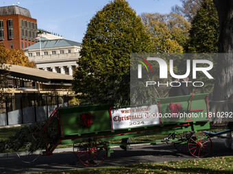 The official White House Christmas Tree arrives in Washington, DC, on November 25, 2024, and is received by First Lady Jill Biden. Here are...