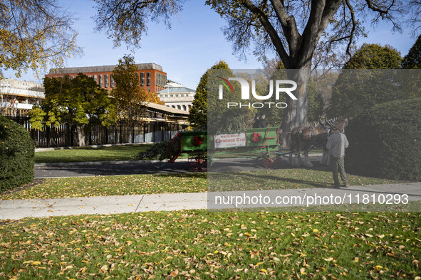 The official White House Christmas Tree arrives in Washington, DC, on November 25, 2024, and is received by First Lady Jill Biden. Here are...