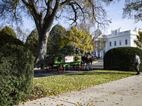 The official White House Christmas Tree arrives in Washington, DC, on November 25, 2024, and is received by First Lady Jill Biden. Here are...