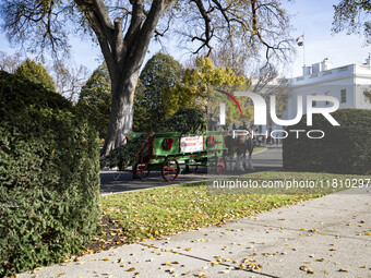 On November 25, 2024 the official White House Christmas Tree arrived in Washington, DC and was received by First Lady Jill Biden here are so...