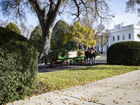 On November 25, 2024 the official White House Christmas Tree arrived in Washington, DC and was received by First Lady Jill Biden here are so...