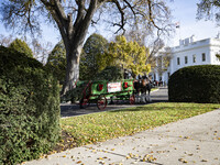 The official White House Christmas Tree arrives in Washington, DC, on November 25, 2024, and is received by First Lady Jill Biden. Here are...