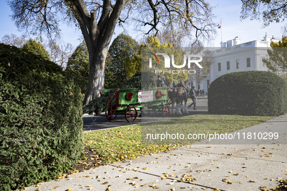 The official White House Christmas Tree arrives in Washington, DC, on November 25, 2024, and is received by First Lady Jill Biden. Here are...