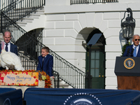 President Biden pardons a Thanksgiving turkey at a White House ceremony in Washington, D.C., United States, on November 25, 2024. (