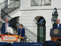 President Biden pardons a Thanksgiving turkey at a White House ceremony in Washington, D.C., United States, on November 25, 2024. (