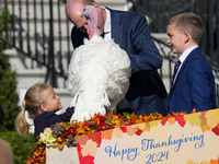 President Biden pardons a Thanksgiving turkey at a White House ceremony in Washington, D.C., United States, on November 25, 2024. (