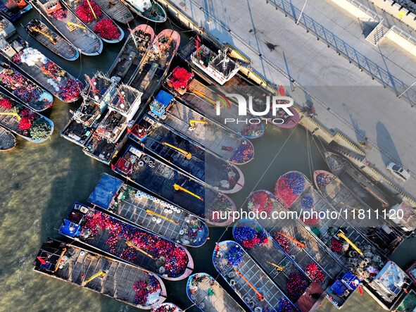 Fishing boats berth in the harbor to take shelter from the cold wave and wind at the central fishing port of Liandao in Lianyungang, Jiangsu...