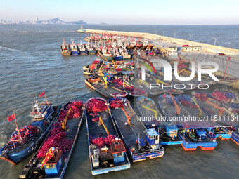 Fishing boats berth in the harbor to take shelter from the cold wave and wind at the central fishing port of Liandao in Lianyungang, Jiangsu...