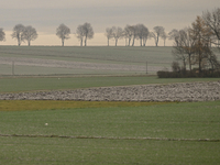 KRAKOW, POLAND - NOVEMBER 19:   
A typical November landscape with grey frozen fields and leafless trees, seen from a Krakow-Warsaw train wi...