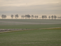 KRAKOW, POLAND - NOVEMBER 19:   
A typical November landscape with grey frozen fields and leafless trees, seen from a Krakow-Warsaw train wi...