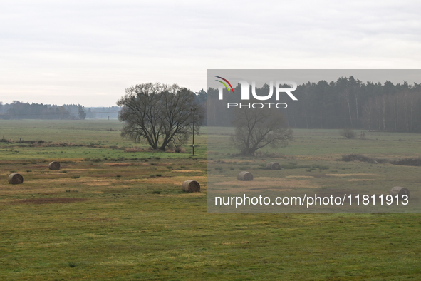 KRAKOW, POLAND - NOVEMBER 19:   
A typical November landscape with grey frozen fields and leafless trees, seen from a Krakow-Warsaw train wi...