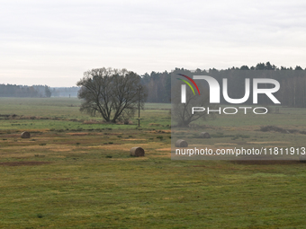 KRAKOW, POLAND - NOVEMBER 19:   
A typical November landscape with grey frozen fields and leafless trees, seen from a Krakow-Warsaw train wi...