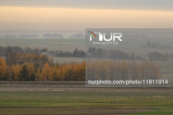 KRAKOW, POLAND - NOVEMBER 19:   
A typical November landscape with grey frozen fields and leafless trees, seen from a Krakow-Warsaw train wi...