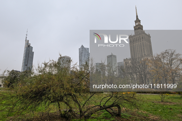 WARSAW, POLAND - NOVEMBER 19:   
The Palace of Culture and Science in Warsaw on a cold November day, on November 19, 2024 in Warsaw, Poland....