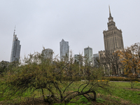 WARSAW, POLAND - NOVEMBER 19:   
The Palace of Culture and Science in Warsaw on a cold November day, on November 19, 2024 in Warsaw, Poland....