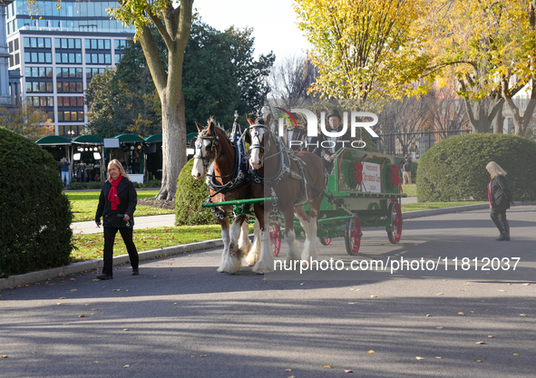 Presidential grandson Beau Biden joins the First Lady at the arrival of the White House Christmas Tree. The tree from North Carolina is deli...