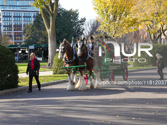 Presidential grandson Beau Biden joins the First Lady at the arrival of the White House Christmas Tree. The tree from North Carolina is deli...