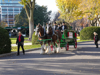 Presidential grandson Beau Biden joins the First Lady at the arrival of the White House Christmas Tree. The tree from North Carolina is deli...