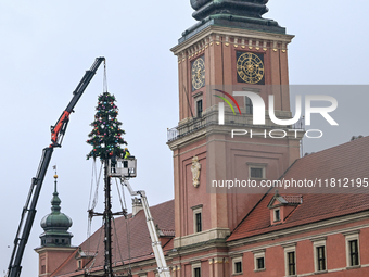 WARSAW, POLAND - NOVEMBER 19:   
Christmas tree and decorations being set up in front of the Royal Castle in Warsaw, preparing for the holid...