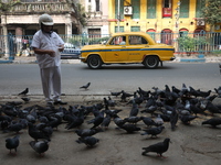 A man feeds pigeons on the roadside near a steel and iron wholesale market in Kolkata, India, on November 26, 2024. (