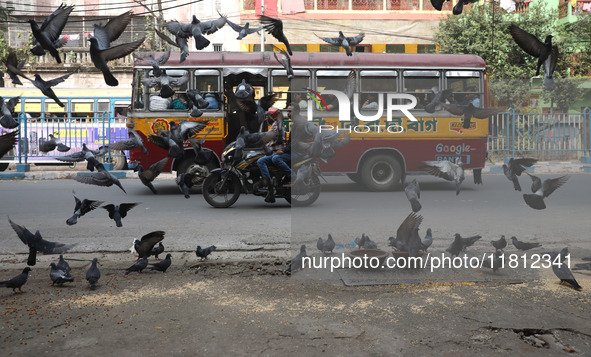 Pigeons fly while a passenger bus moves near a steel and iron wholesale market in Kolkata, India, on November 26, 2024. 