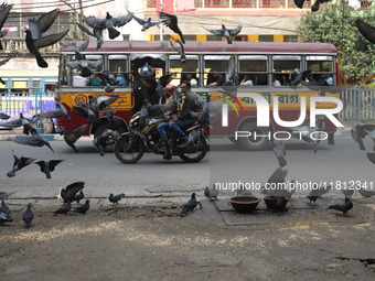 Pigeons fly while a passenger bus moves near a steel and iron wholesale market in Kolkata, India, on November 26, 2024. (