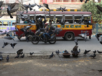 Pigeons fly while a passenger bus moves near a steel and iron wholesale market in Kolkata, India, on November 26, 2024. (