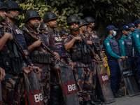 Border Guard Bangladesh (BGB) and police personnel stand guard to ensure law and order in Shahbagh, Dhaka, Bangladesh, on November 26, 2024....