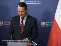 Poland's Minister of Foreign Affairs, Radoslaw Sikorski, looks at his notes as he takes part in a press conference after talks with his Ukra...